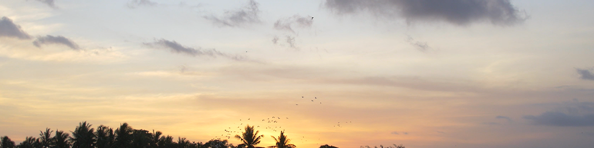 マジックアワーの風景画像